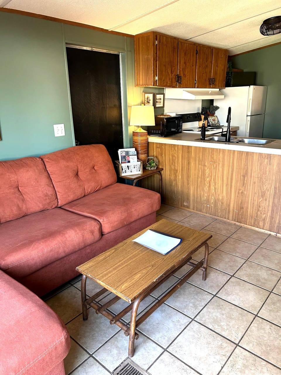 New sleeper sofa