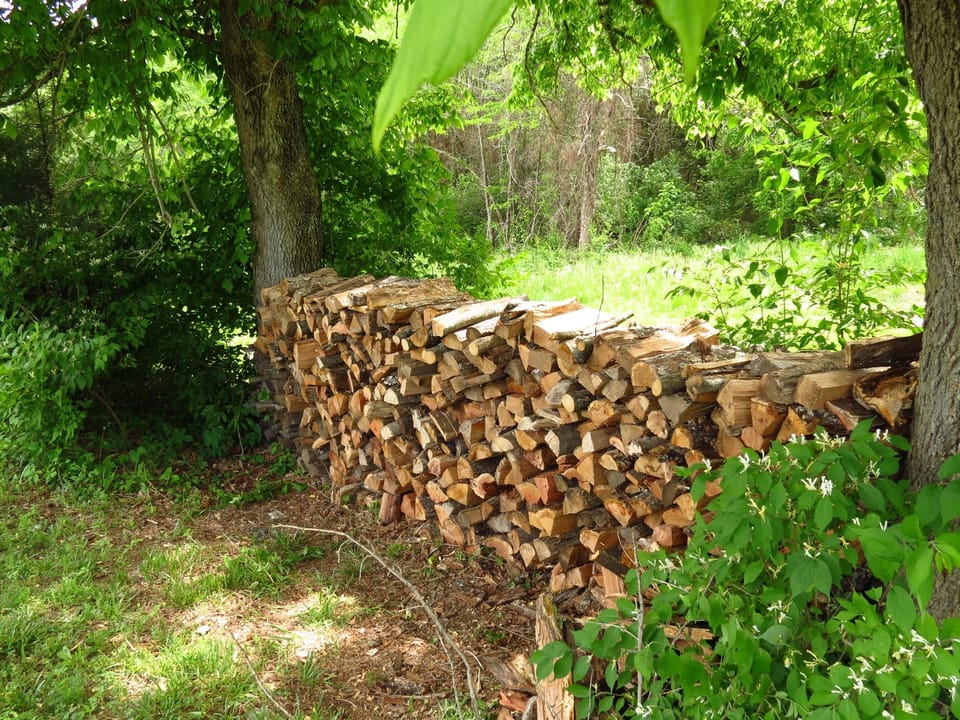Free Firewood