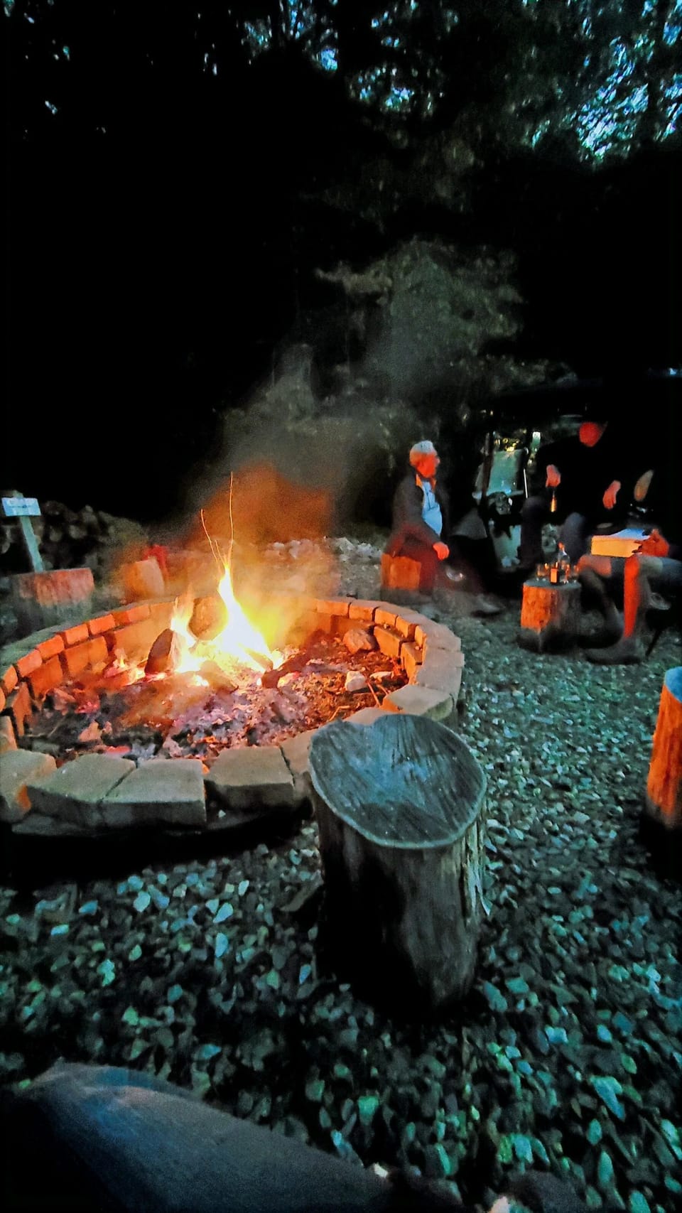 Campfire by Coosa creek.