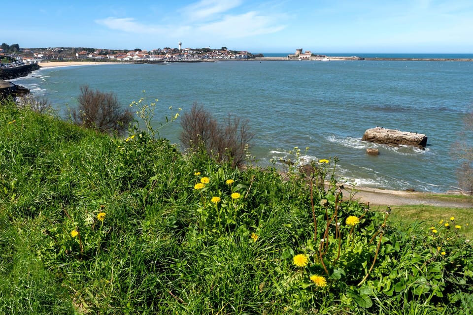 Miscellaneous