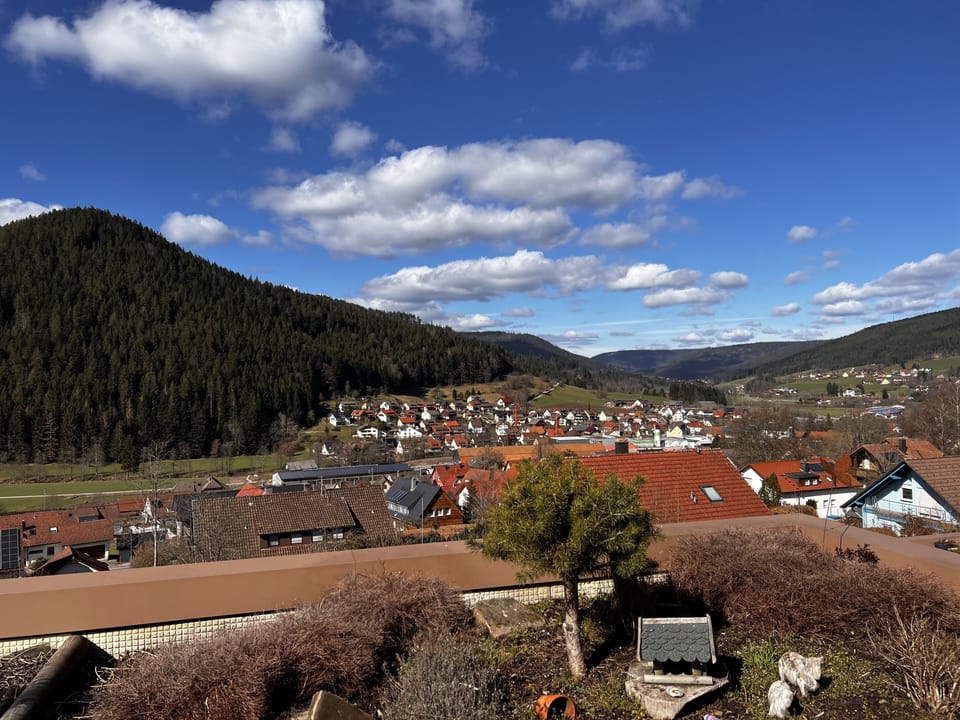 View from property