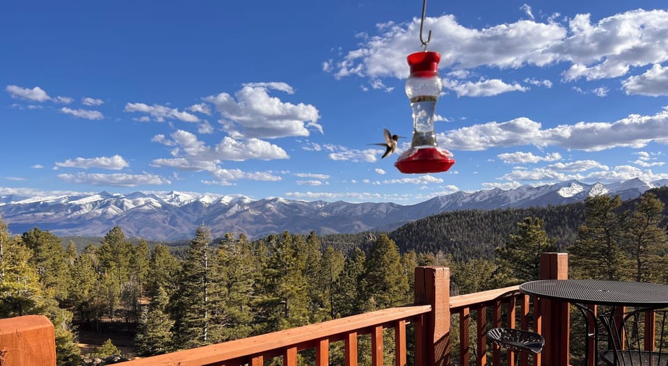 April-September the hummers will be zipping, chirping, and always entertaining. 