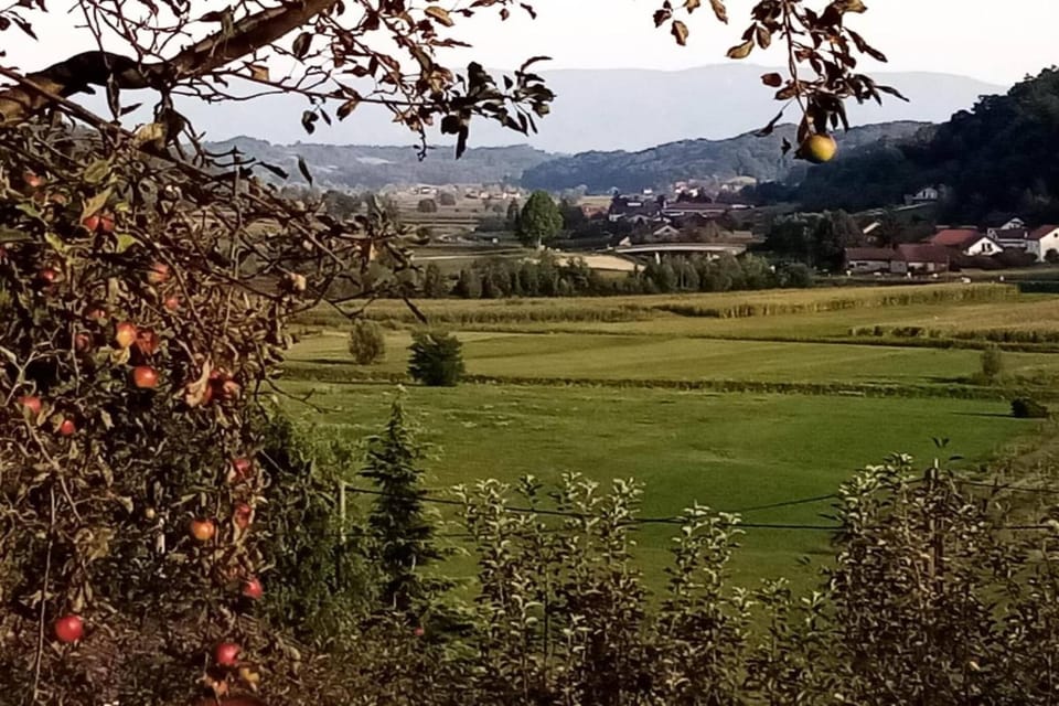 Immediate Surroundings [summer] (<1 km)