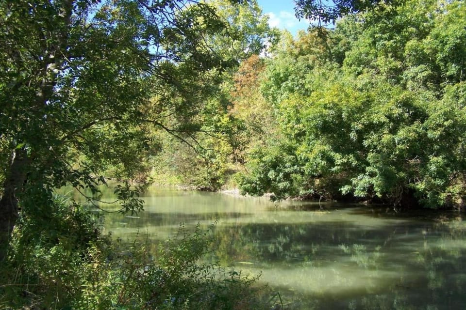 Surroundings [summer] (1-5 km)
