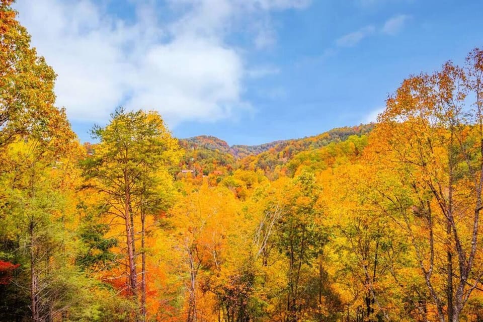 Gorgeous mountain views around the property capture the seasons!