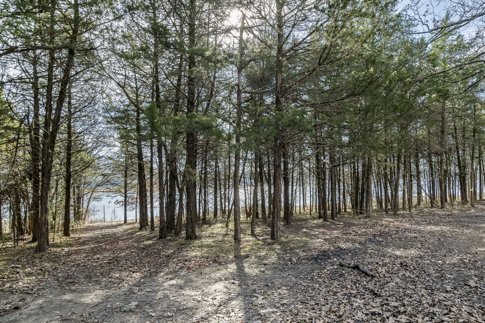 Path Leading down to lake.