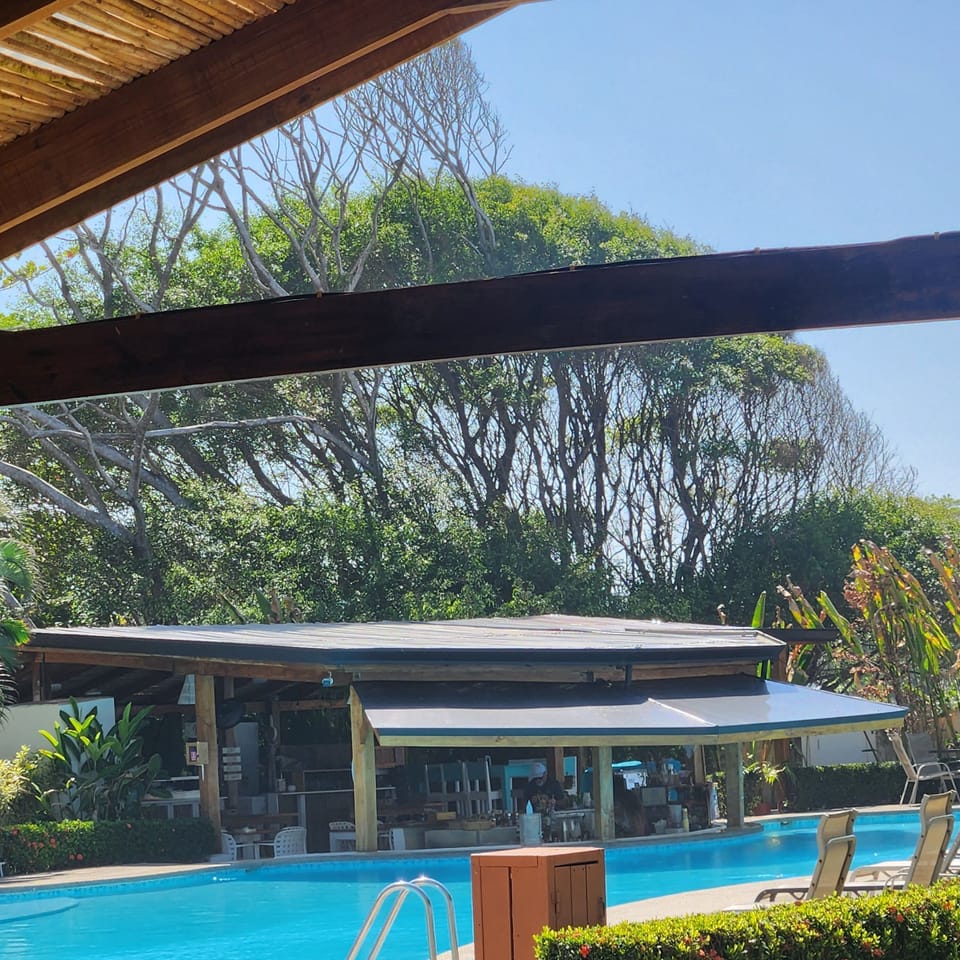 Ocean front pool and beachclub pass included 
