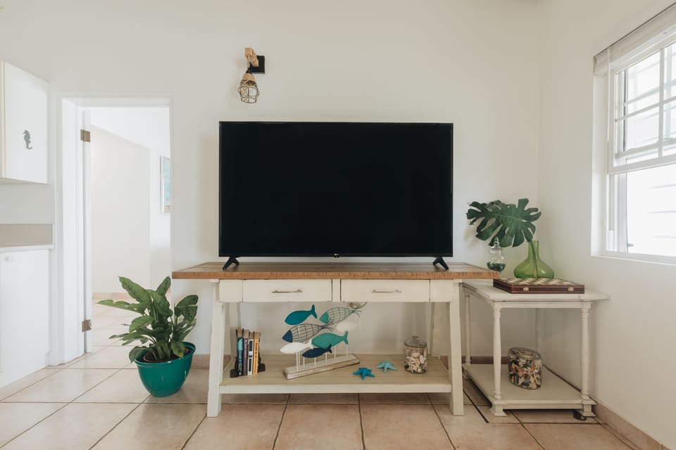 Large Flat Screen TV in the living room.