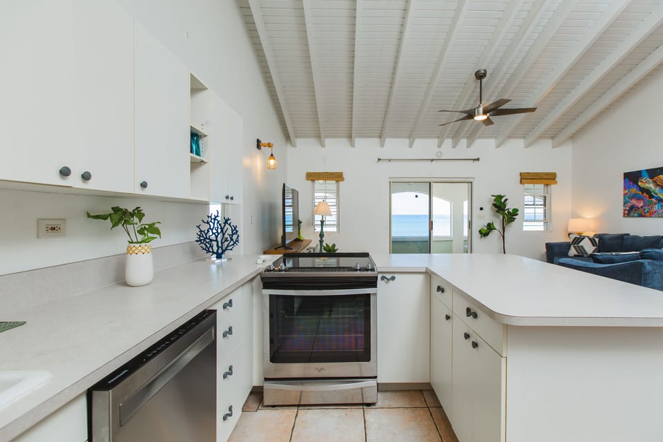 Amazing Ocean View From the Kitchen