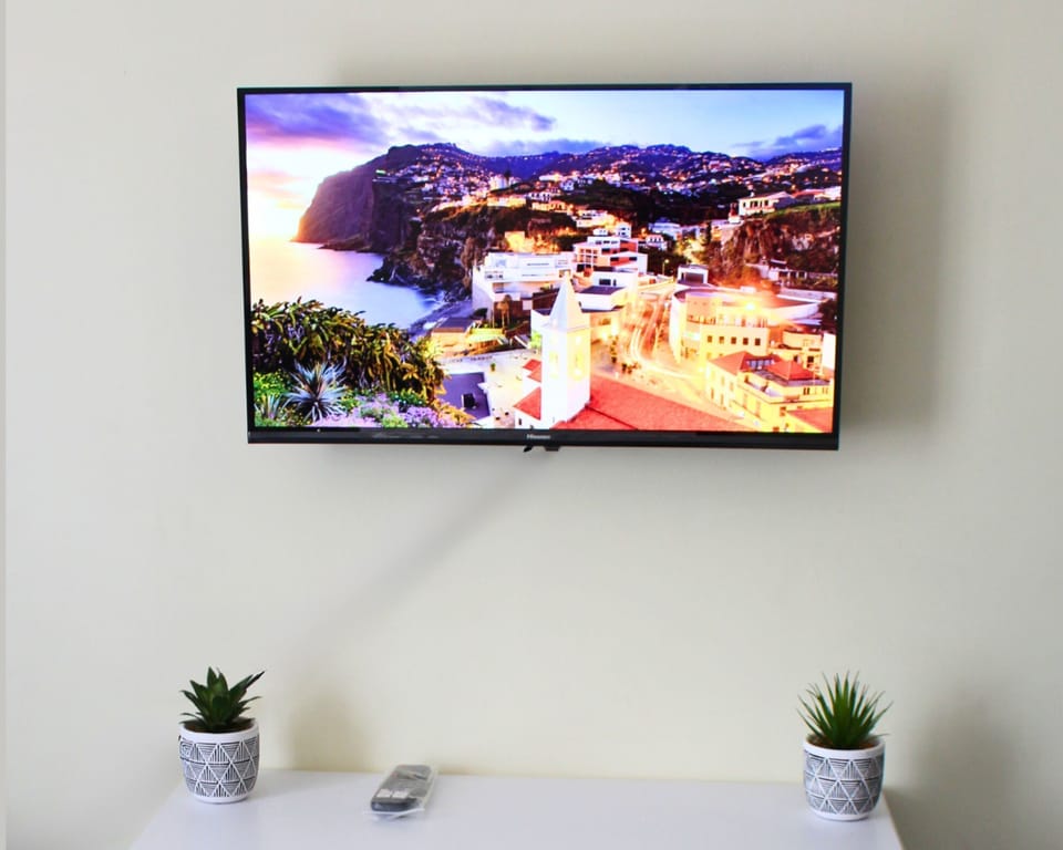 Television