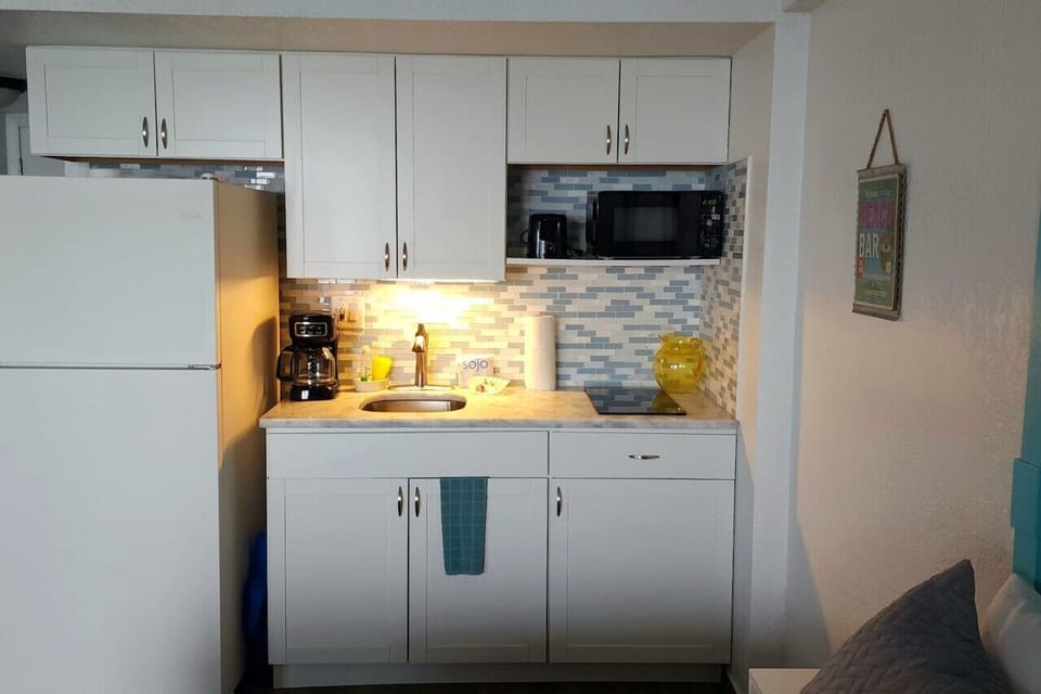 Daytona Beach Oceanfront Pet Friendly Airbnb