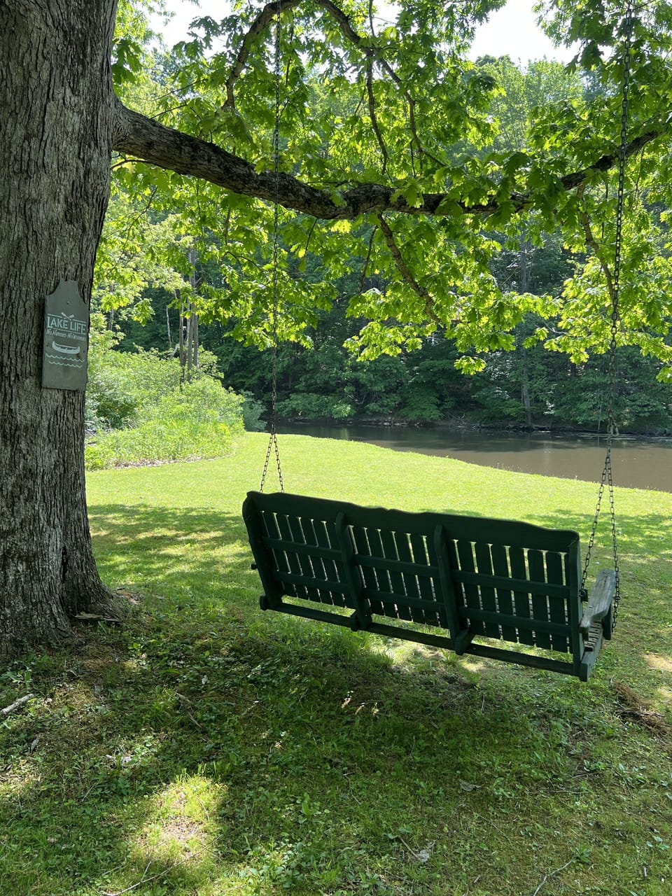 Swing at main waterfront