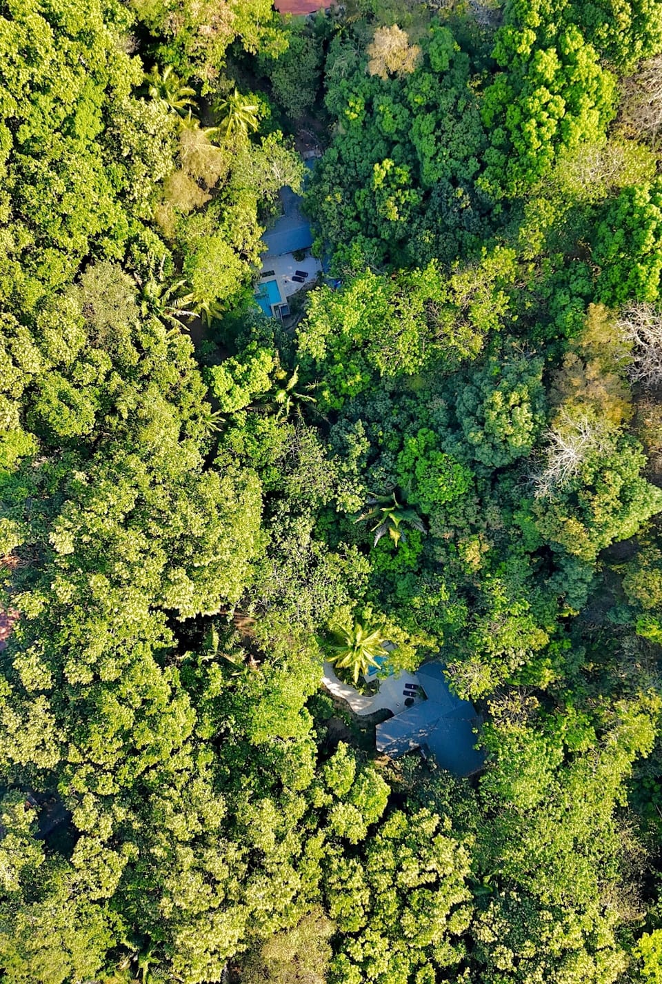 Bird’s-eye view of the two houses