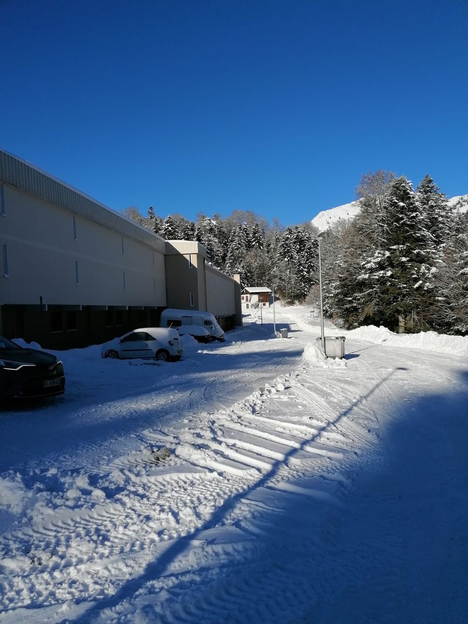 Property grounds