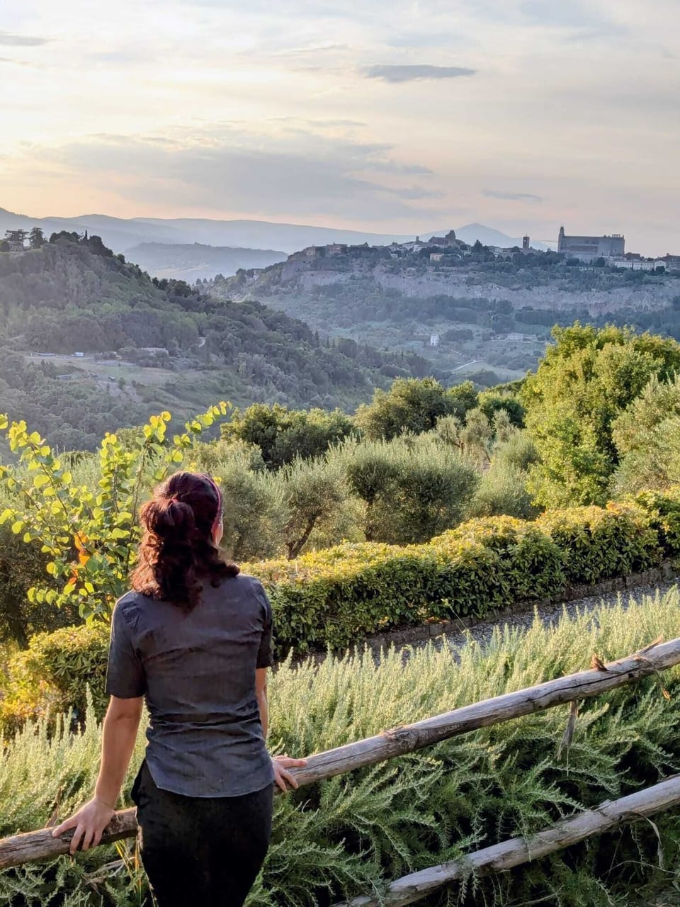 Miscellaneous