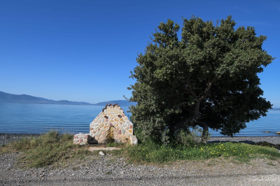 Theotokos beach 700m