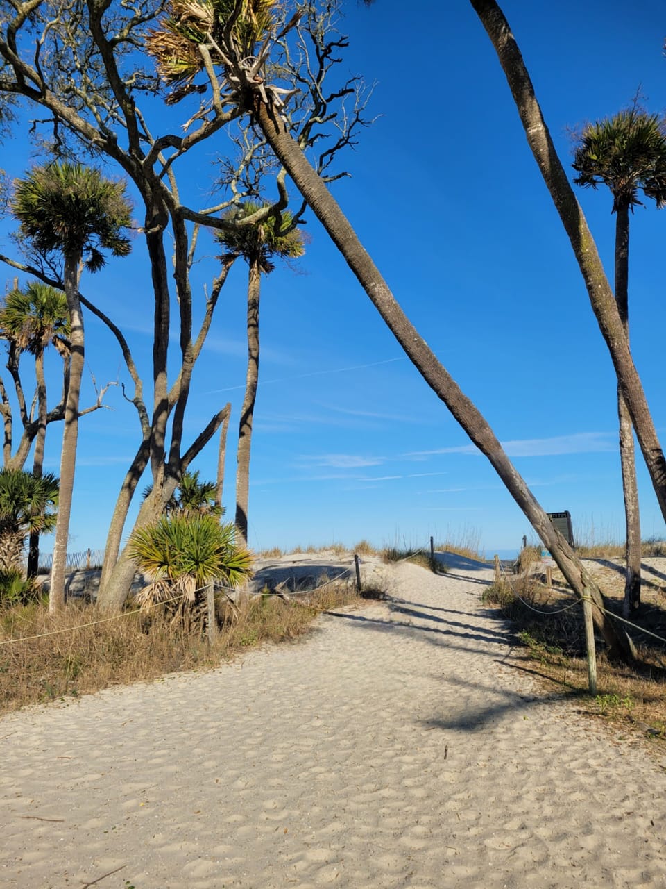 Entrance to Hunting Island Beach