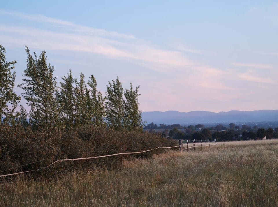 Shawwood Bottling Room View to Forrest