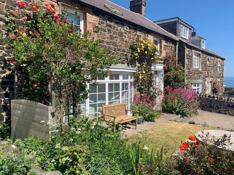 Lawned front garden and drive for two cars