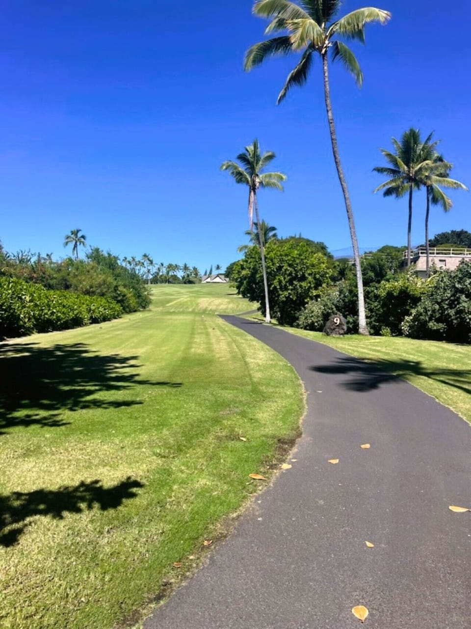 Golf course 9th hole