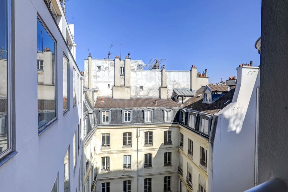 The view of the rooftops of Paris from the flat.