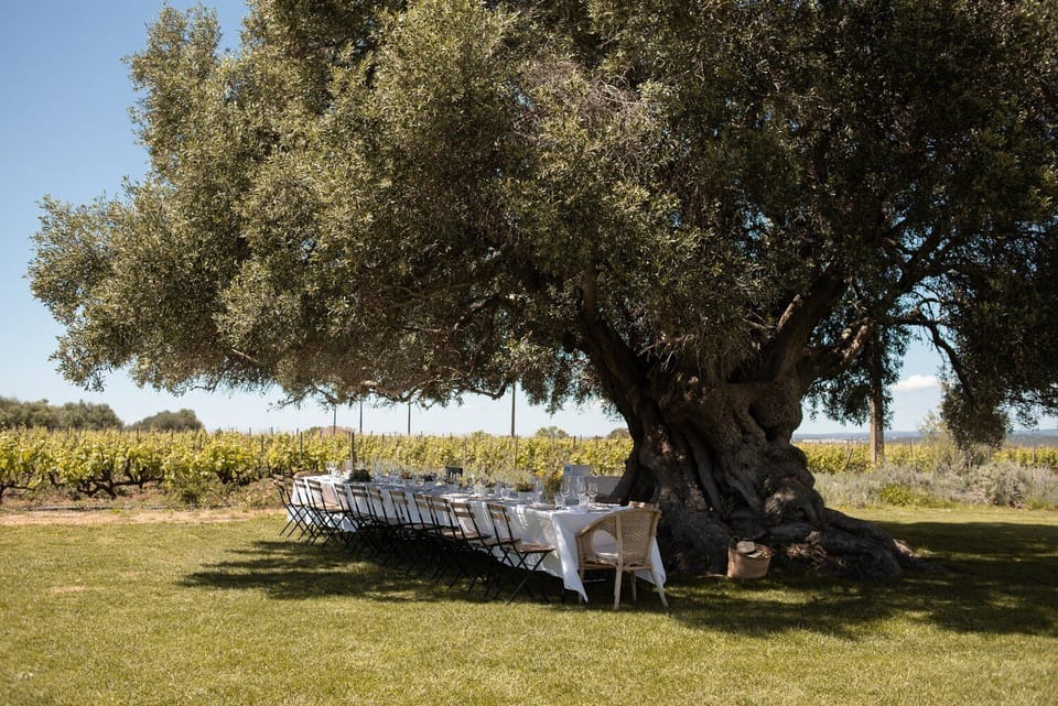 Outdoor banquet area