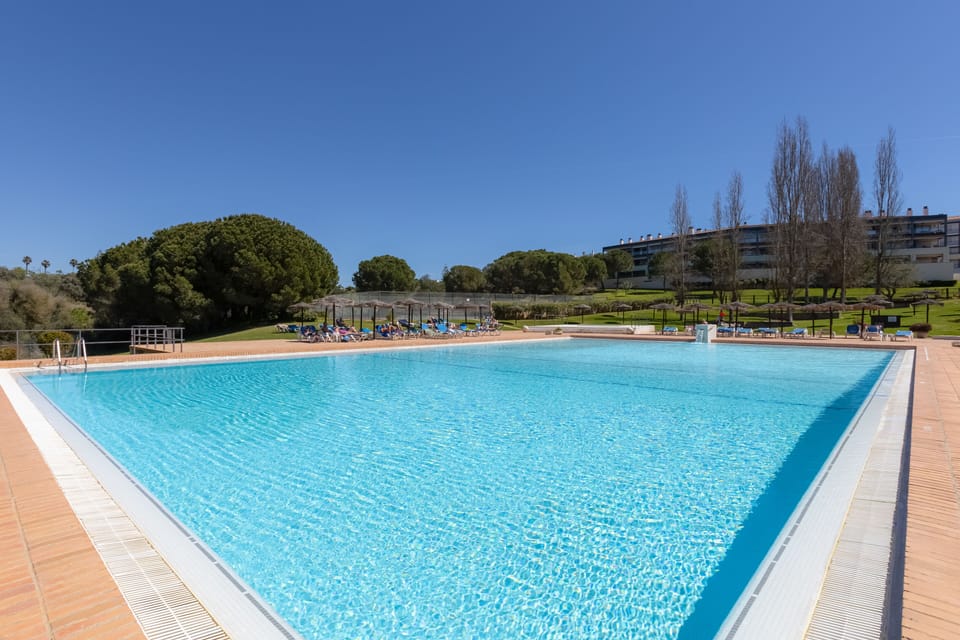 Pool of the complex 