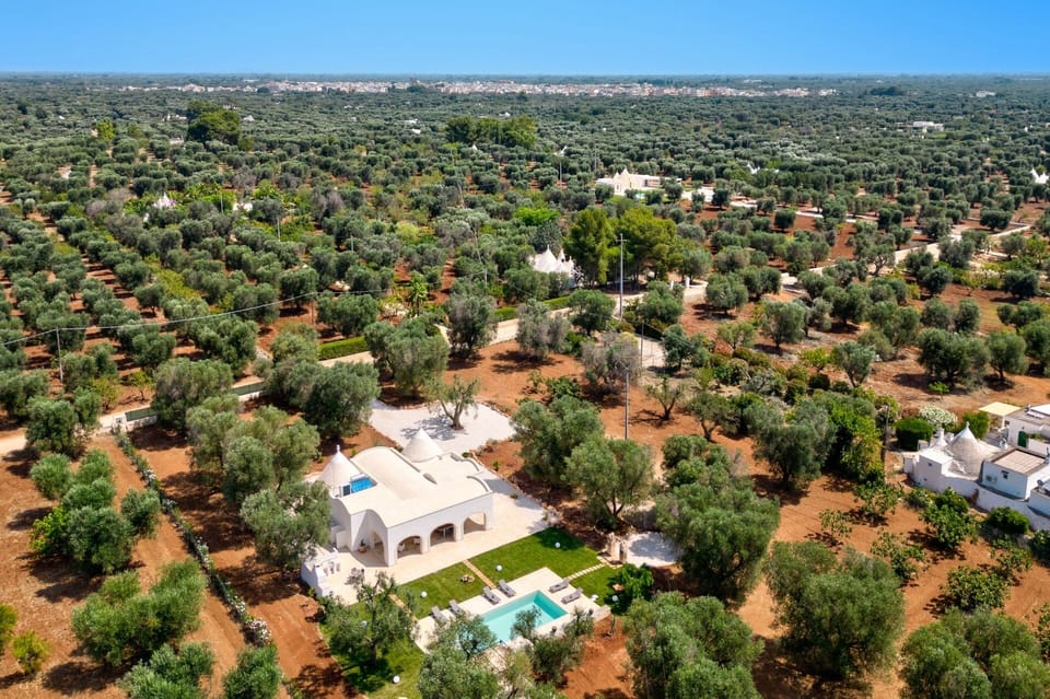 Villa Archi image
