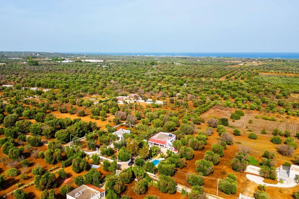 Villa Olivier image