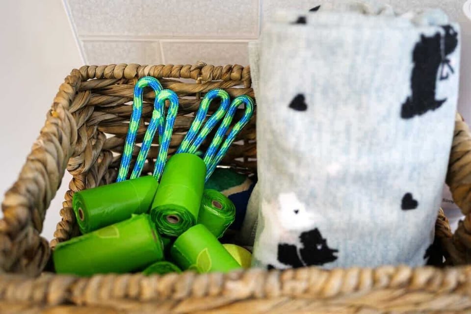 Pet essentials neatly arranged for added convenience