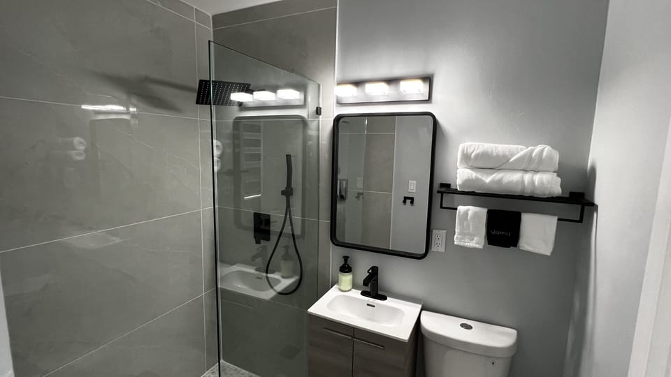 Modern spacious shower with rain shower overhead and Handheld Sprayer