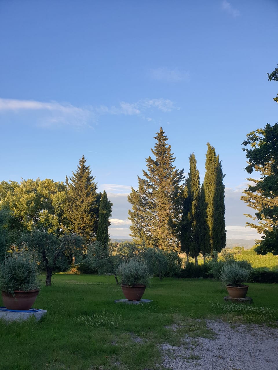 Property grounds