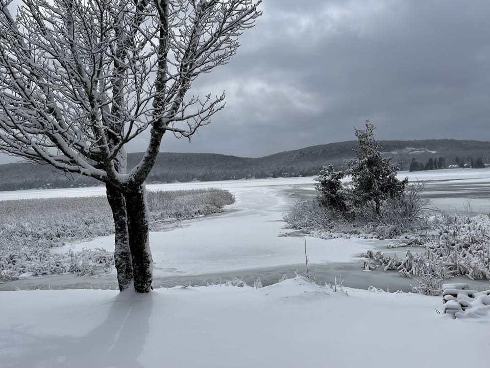 View from porch. Easy transition from frozen lake to land with snowmobile.