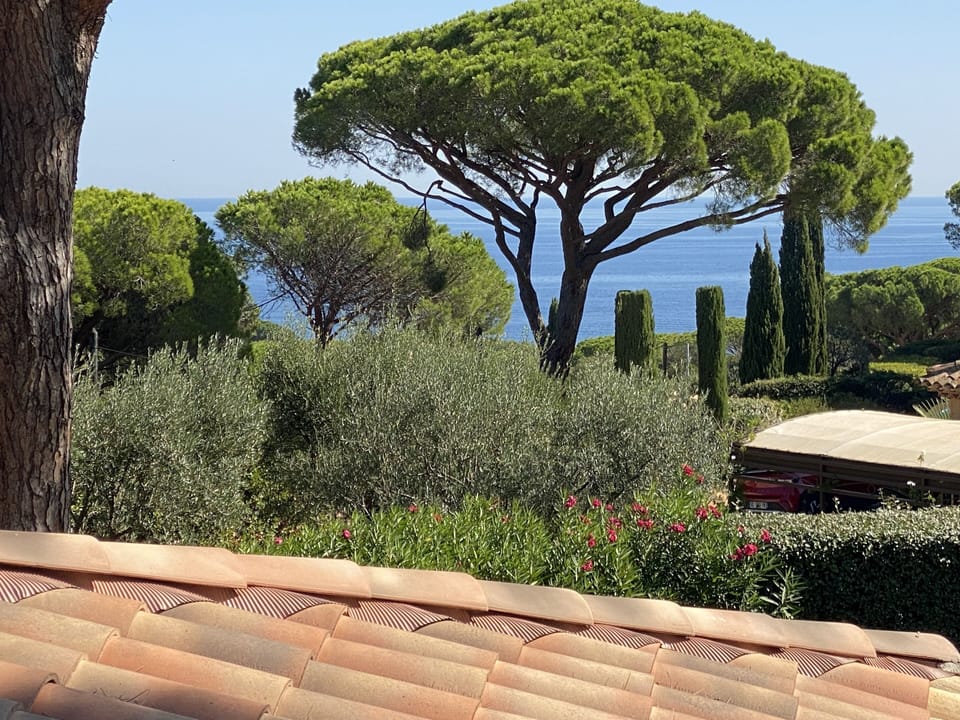 View from property