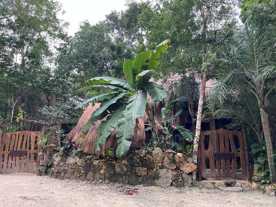 Welcome to your exclusive jungle retreat