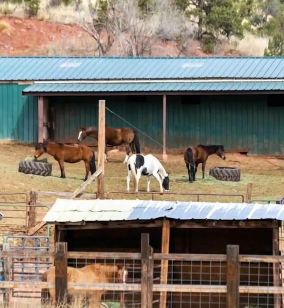 We are nextdoor to the Academy Riding Stables.