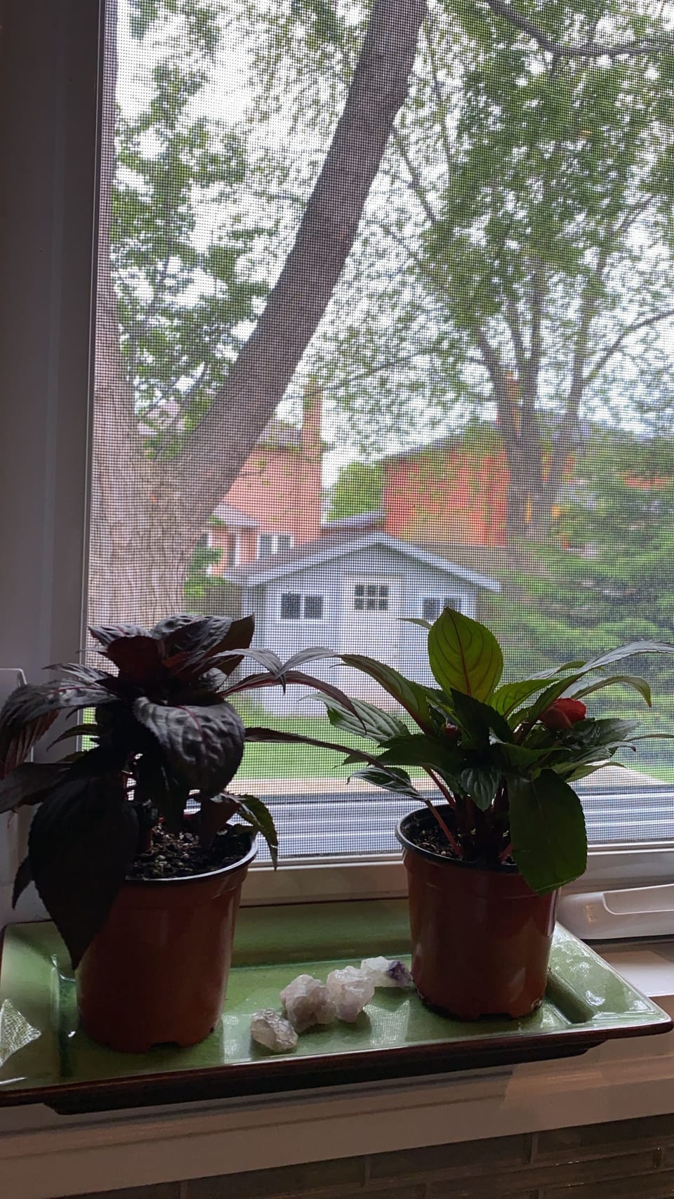 Interior detail