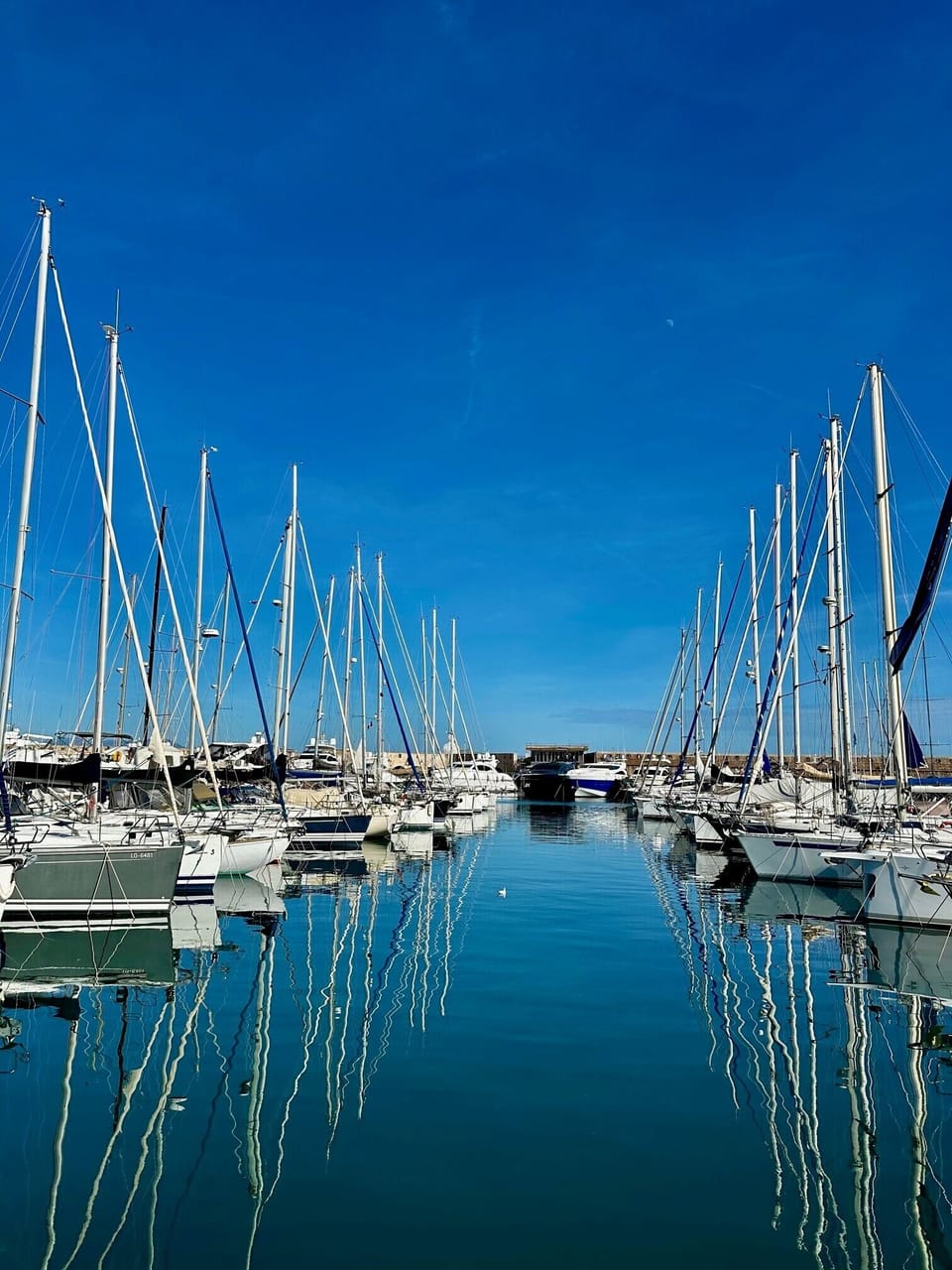 Marina