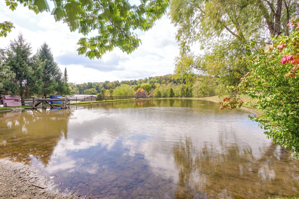 Pond On-Site