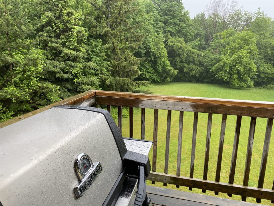 "Bear" - BBQ overlooking the backyard
