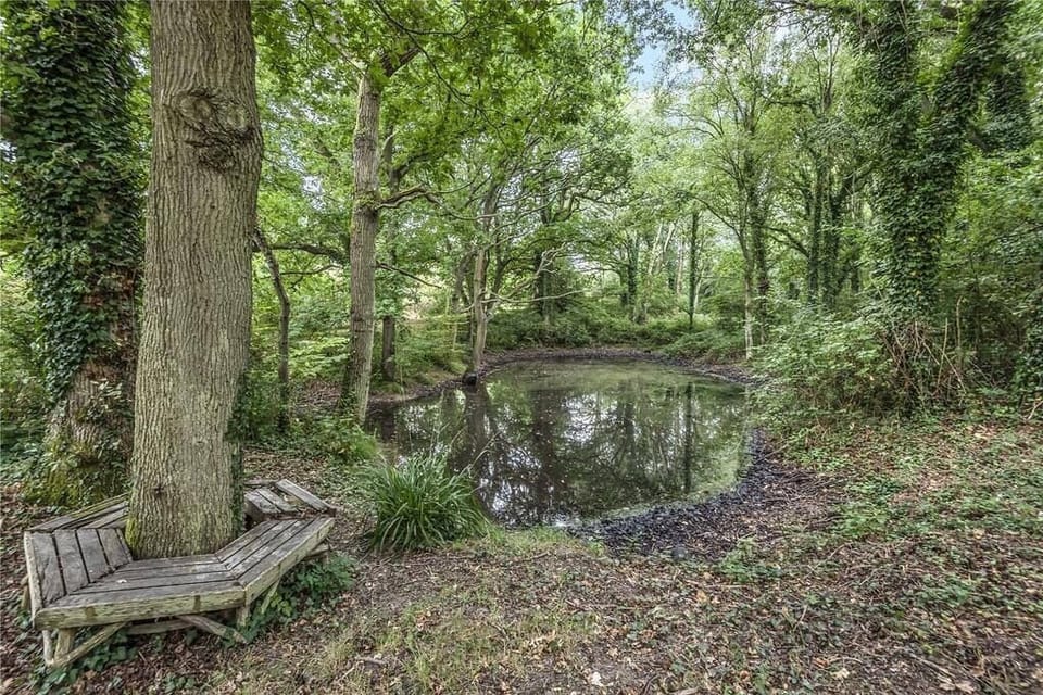 Lake and dell