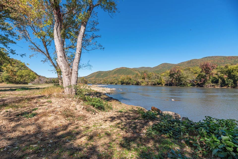 The French Broad River is the 3rd oldest river in the world! It is home to many creatures like otter, beaver, bass, catfish, and a million other things. 