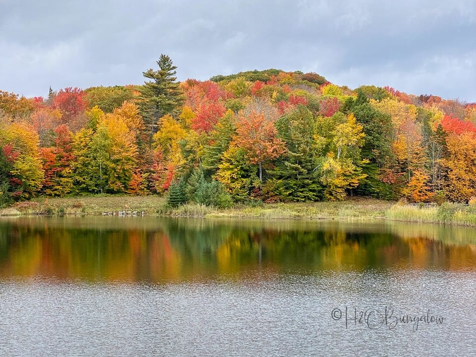 Knapp Pond just steps away