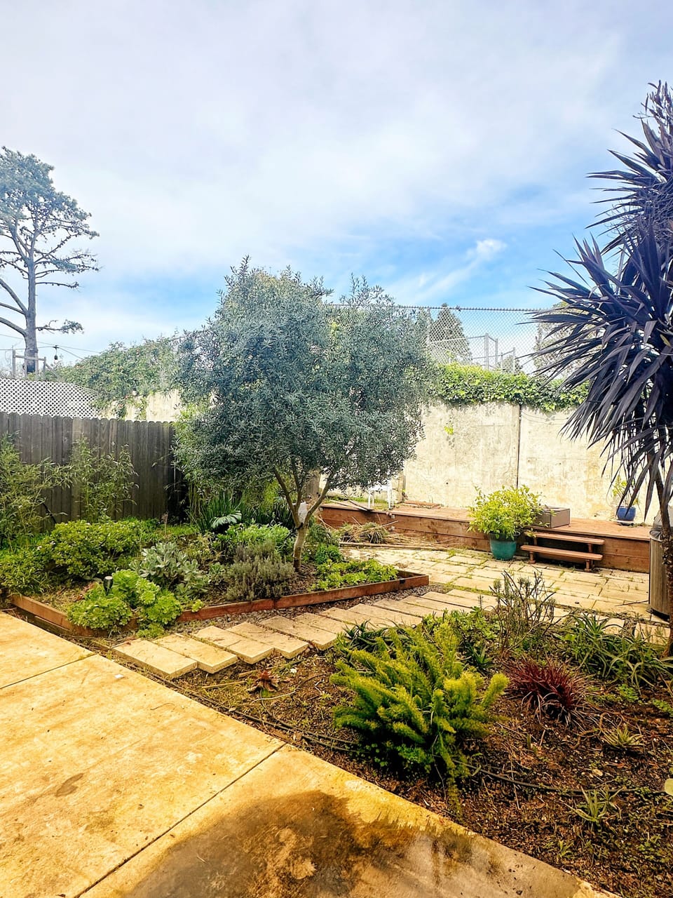 landscaped backyard
