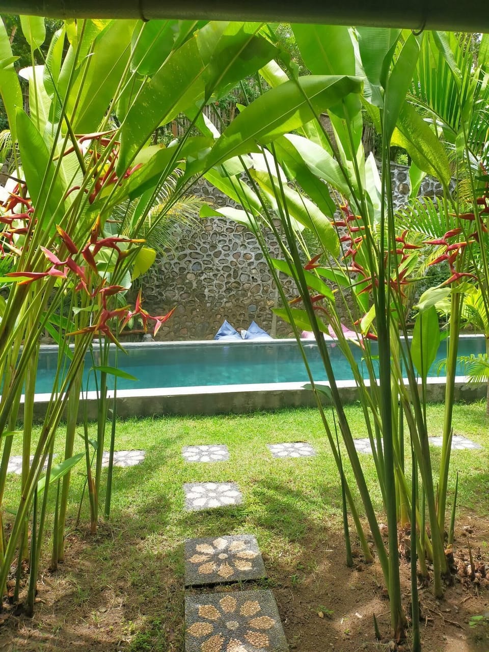 Pool view