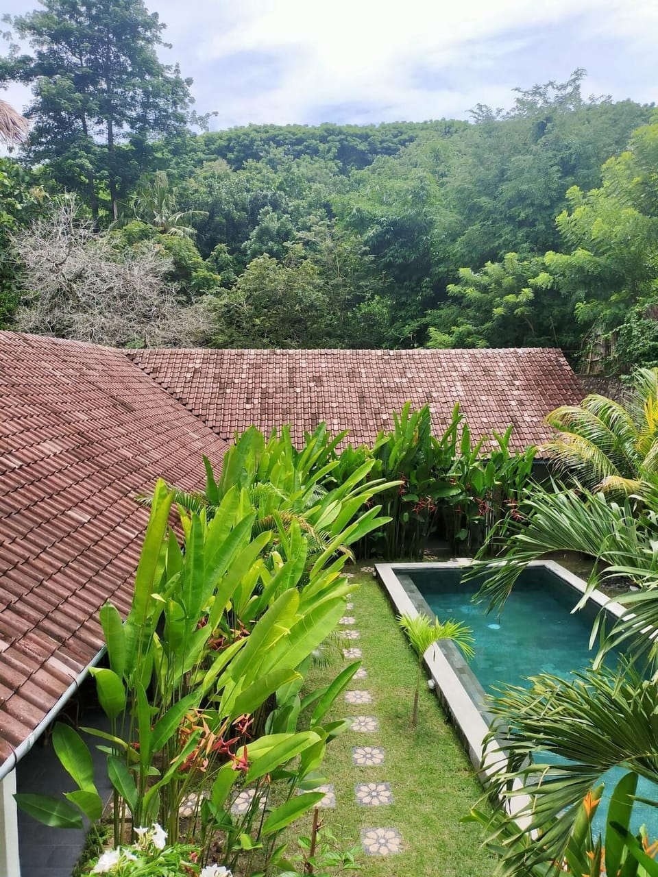 Pool/garden area