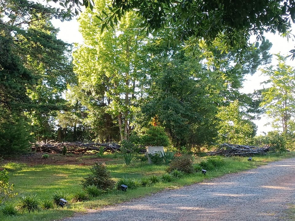 The entrance to your stay in Eden