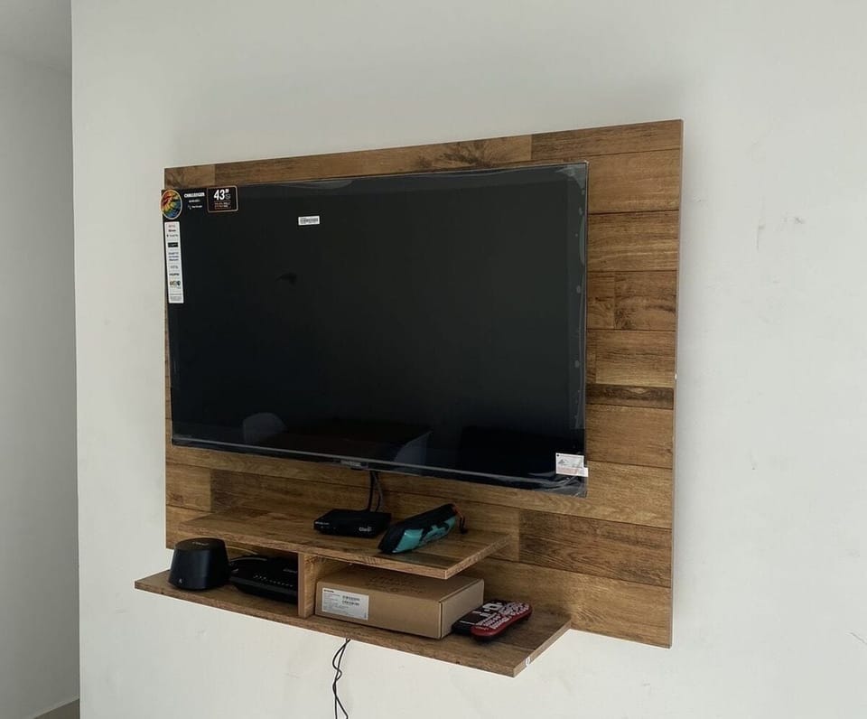 Television