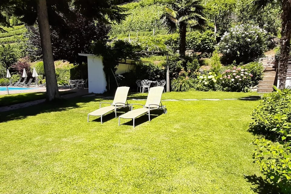 Garden [summer]