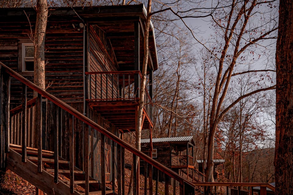 Cabin Views